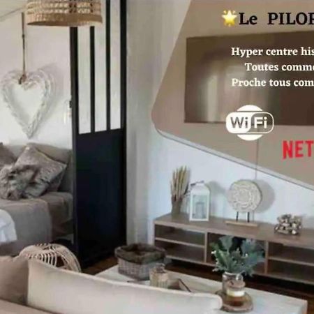 Le Pilori - Centre Historique, En Face Du Musee Du Pilori, A 2Mn A Pied De L'Hyper Centre Et Proche Toutes Commodites, Wifi-Netflix Niort Exteriér fotografie